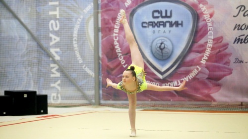Екатерина Королёва о контрольной тренировке отделения художественной гимнастики